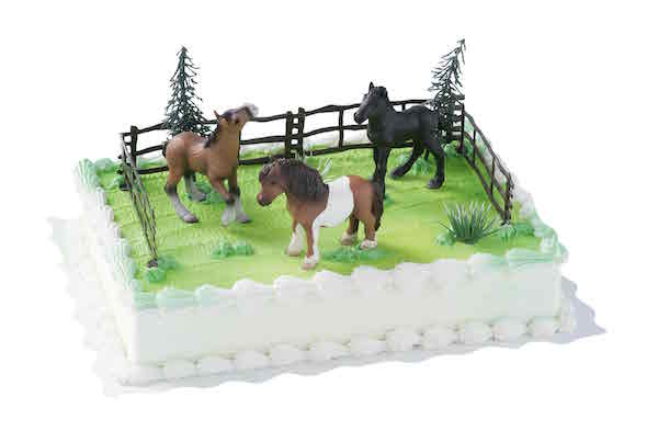 Torte Cake Sparkässeli BRÄNDLI Amerika Torte Pferde
